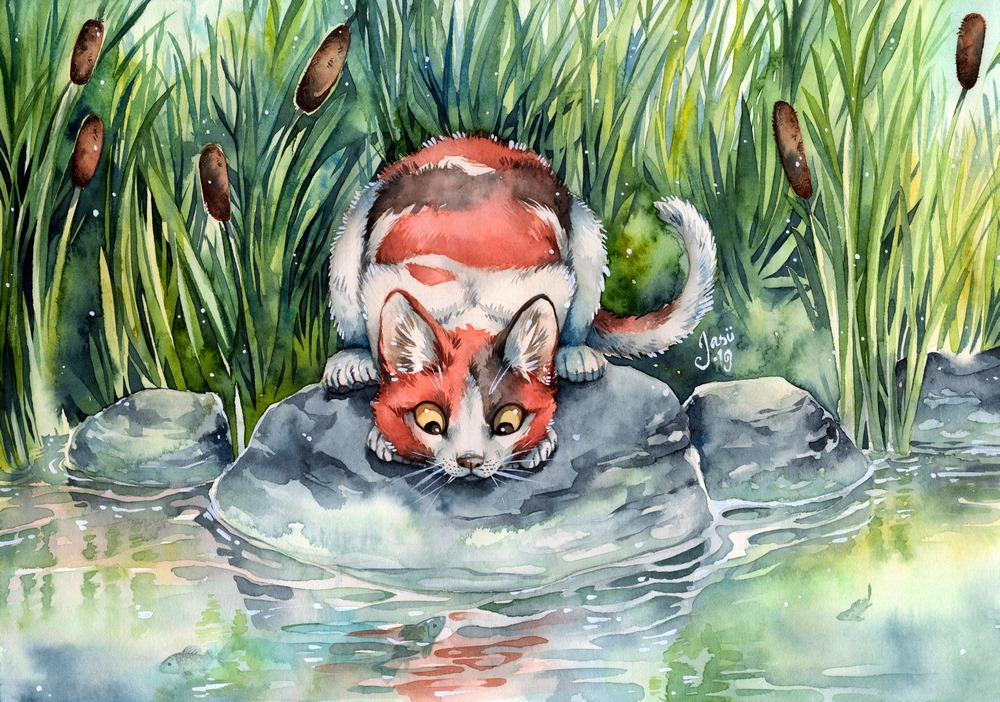 Print - Cat at a Pond